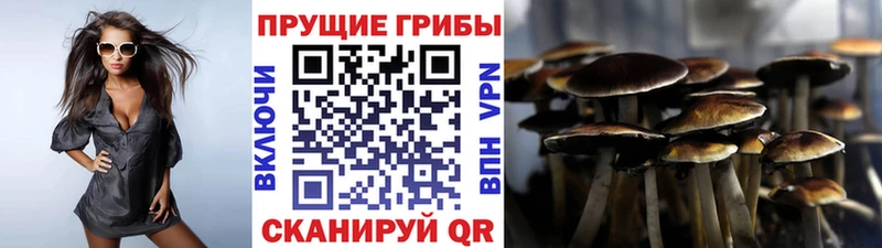 Псилоцибиновые грибы Cubensis  хочу наркоту  Реж 